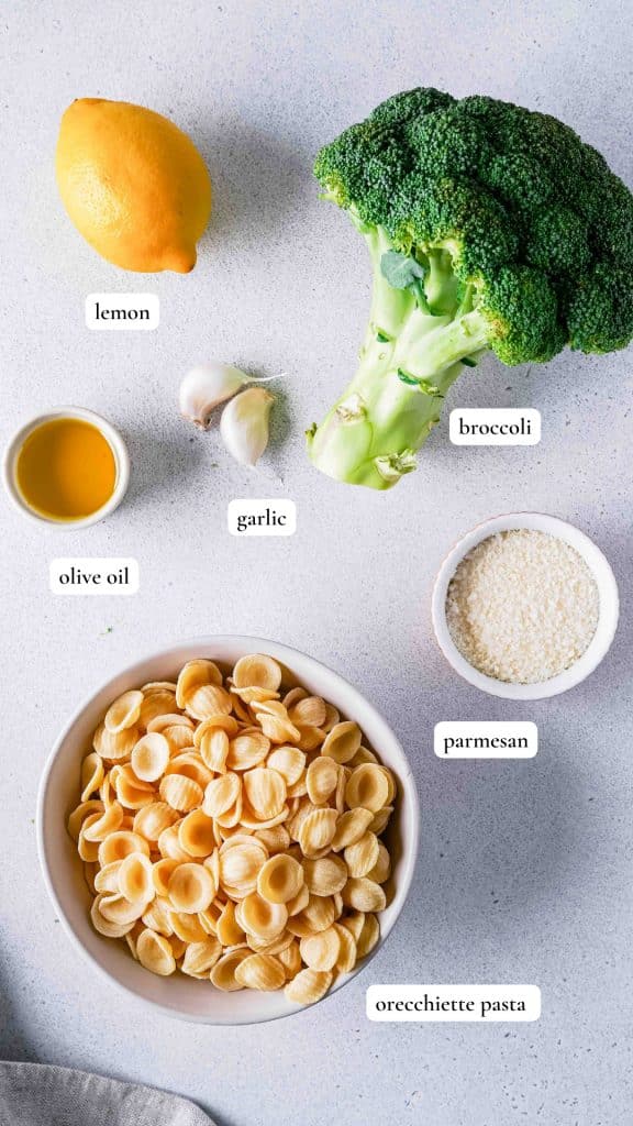 Ingredients to make a broccoli pasta