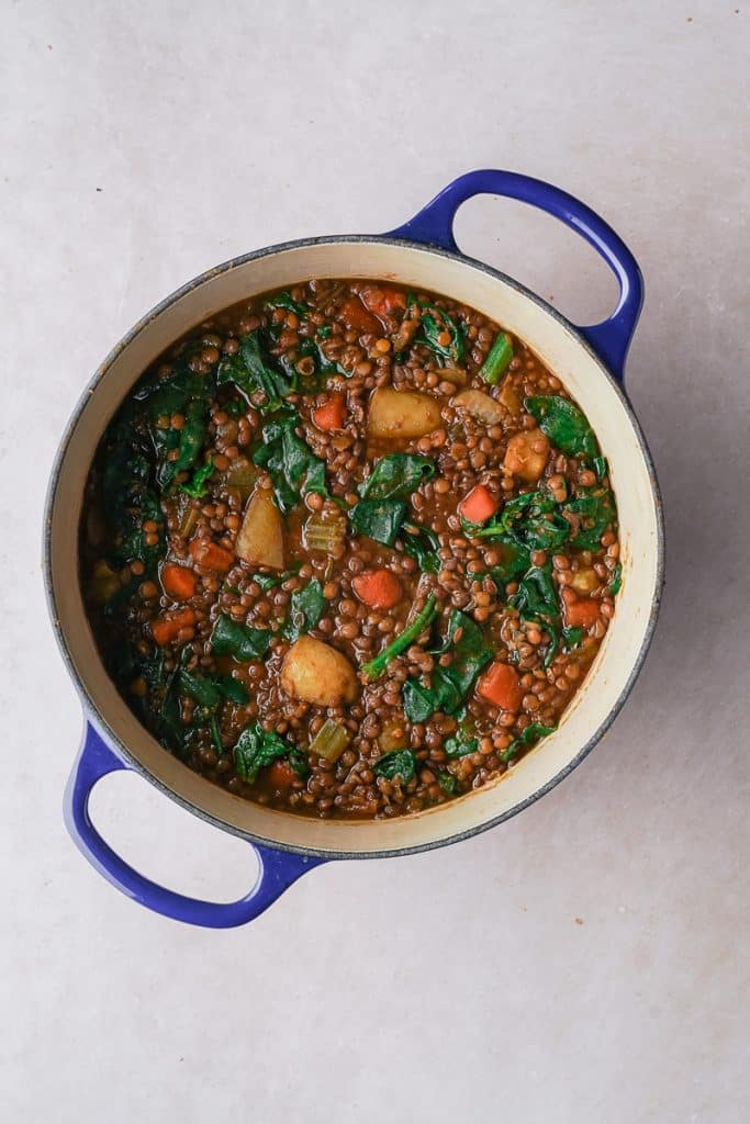 Large pot of a vegetarian lentil stew