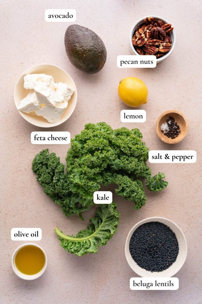 List of ingredients to make a Kale and Lentil Salad with Avocado 