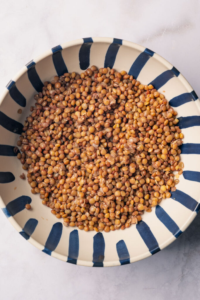 Lentils cooked in a salad bowl