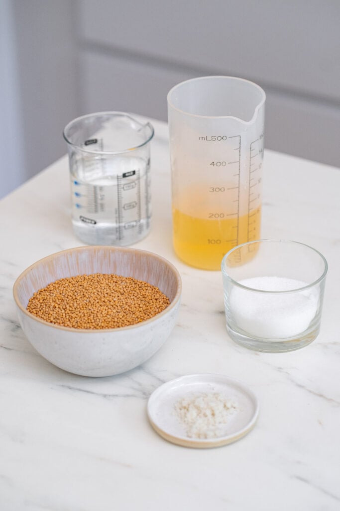 A bowl of mustard seeds, a glass of vinegar, a measuring cup with water, a small dish of salt and a glass with sugar are placed on a marble countertop.