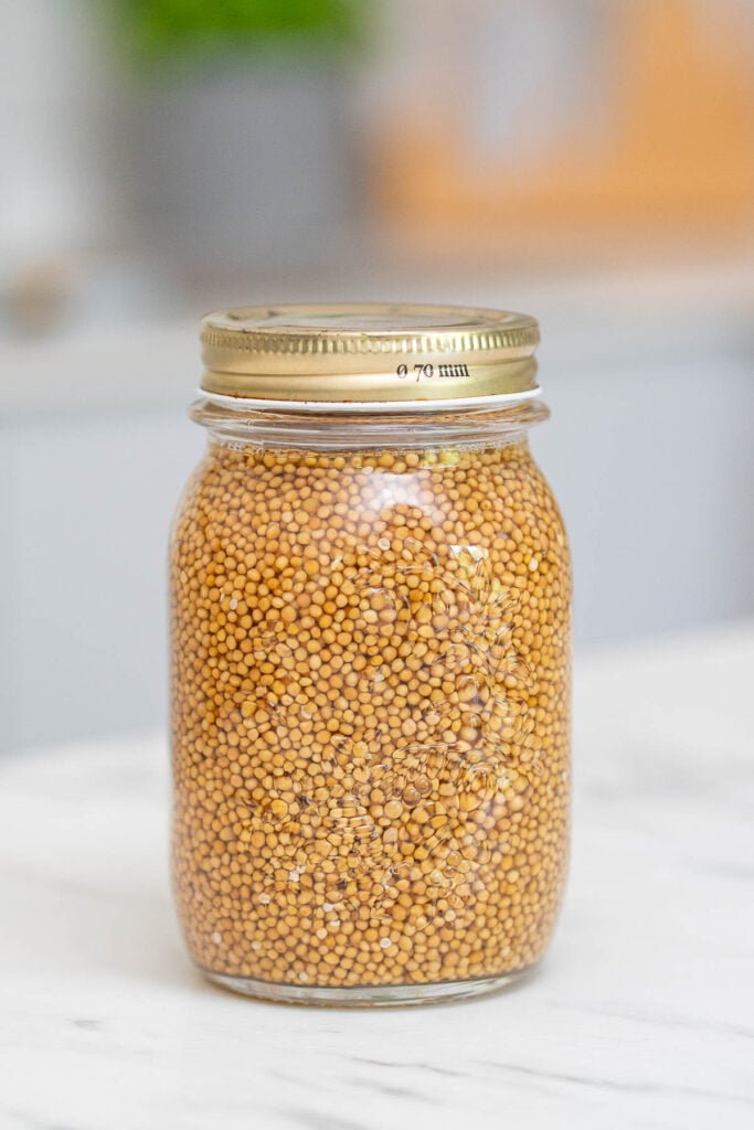 A clear glass jar filled with pickled yellow mustard seeds with brine, with the metal lid placed on a marble countertop next to it.