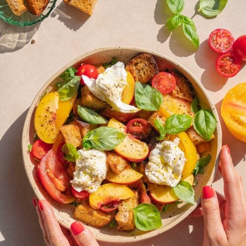 Une personne tient un bol de panzanella à la pêche et burrata contenant des tomates, des feuilles de basilic, des croûtons et des morceaux de fromage crémeux. Autour du bol se trouvent d'autres croûtons, des tomates et des feuilles de basilic.