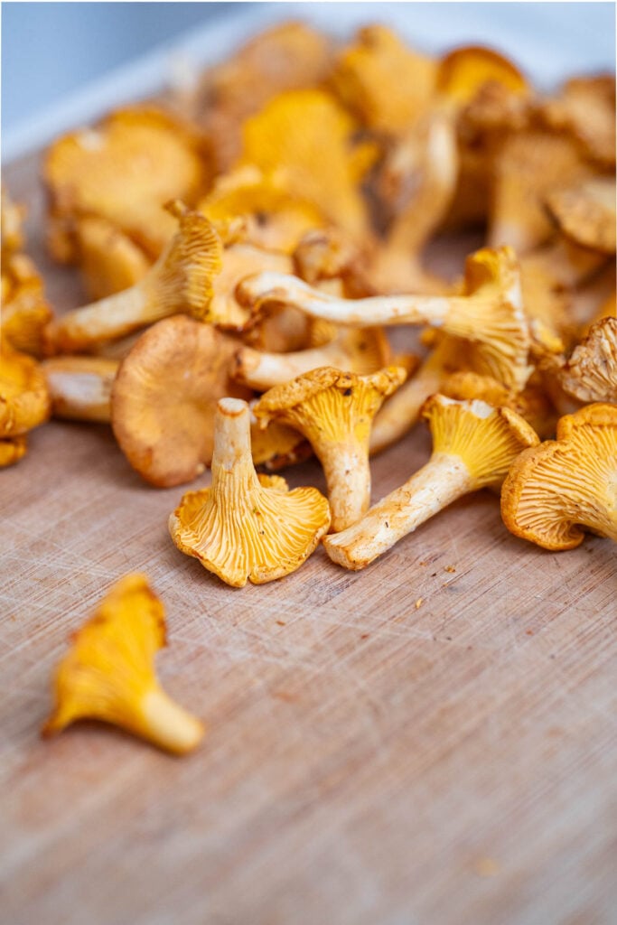 Une collection de chanterelles fraîchement récoltées placées sur une planche à découper en bois.