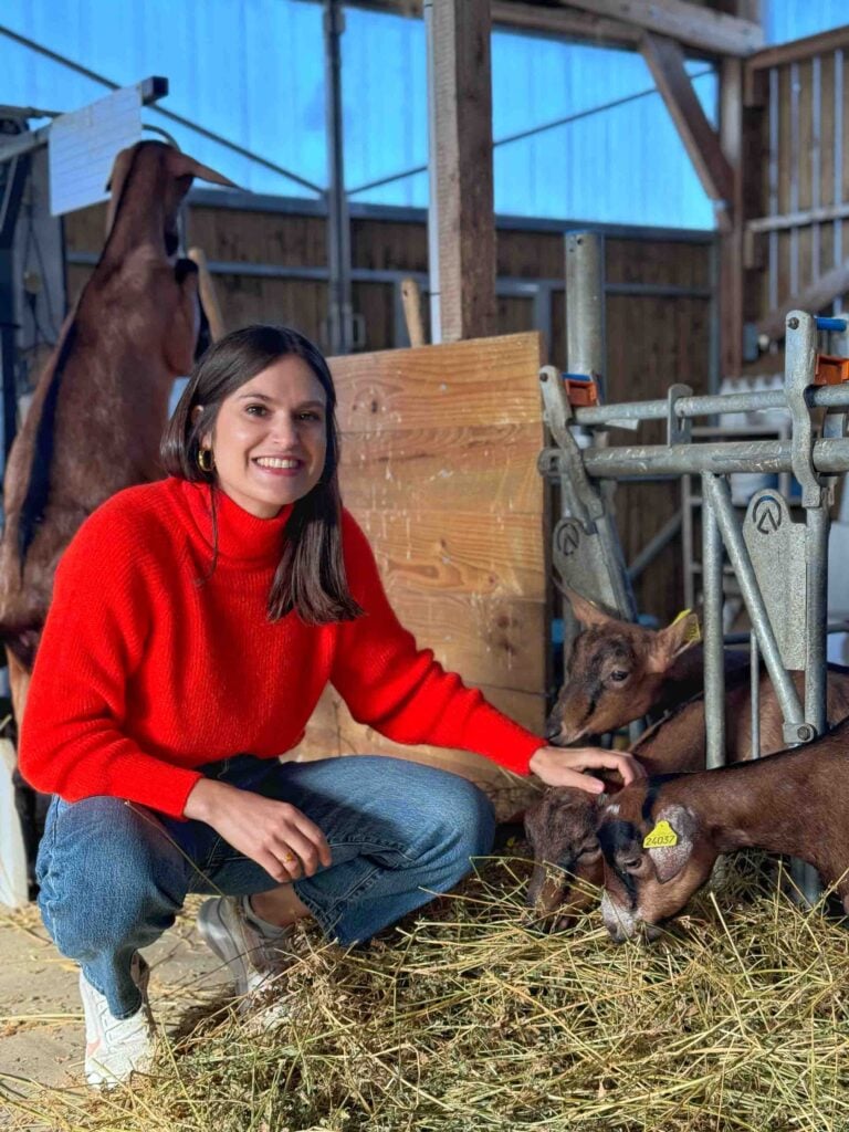 A person wearing a red sweater and jeans is kneeling on hay in a barn, stroking goats inside feeders.