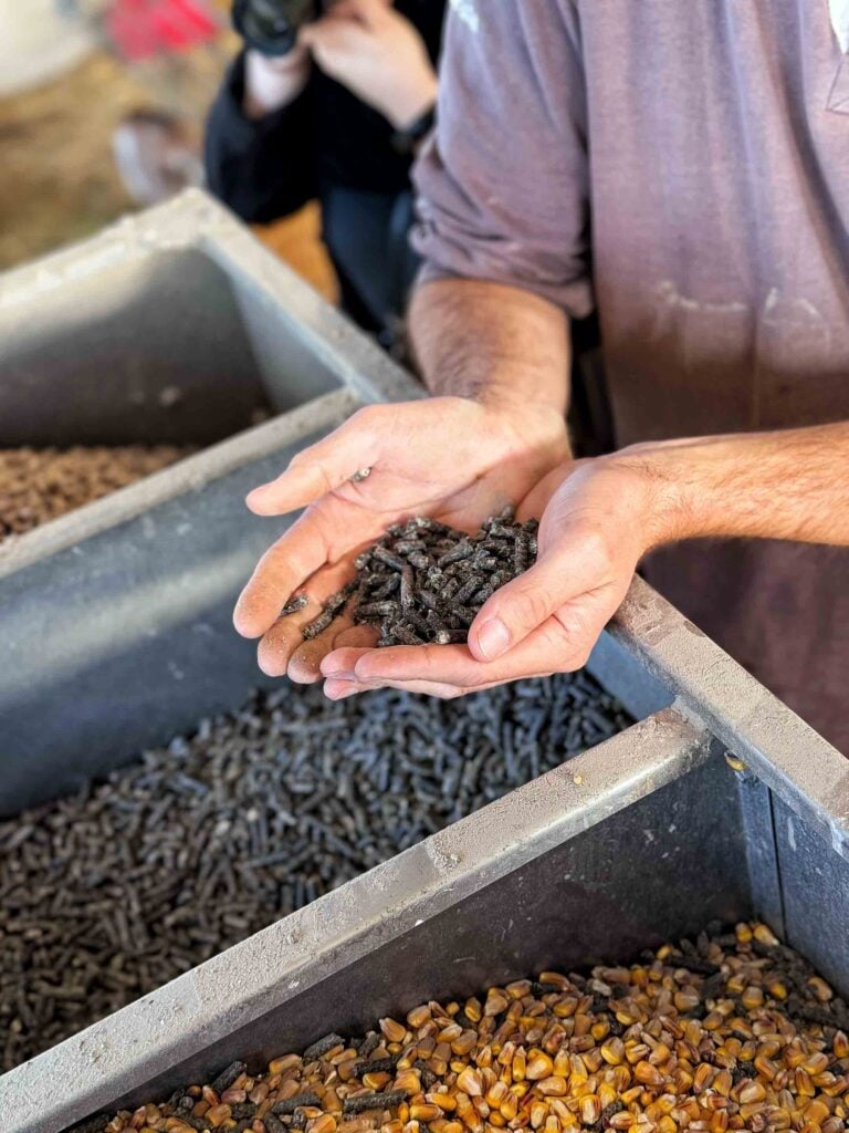 A person holds feed pellets above containers filled with different types of feed.