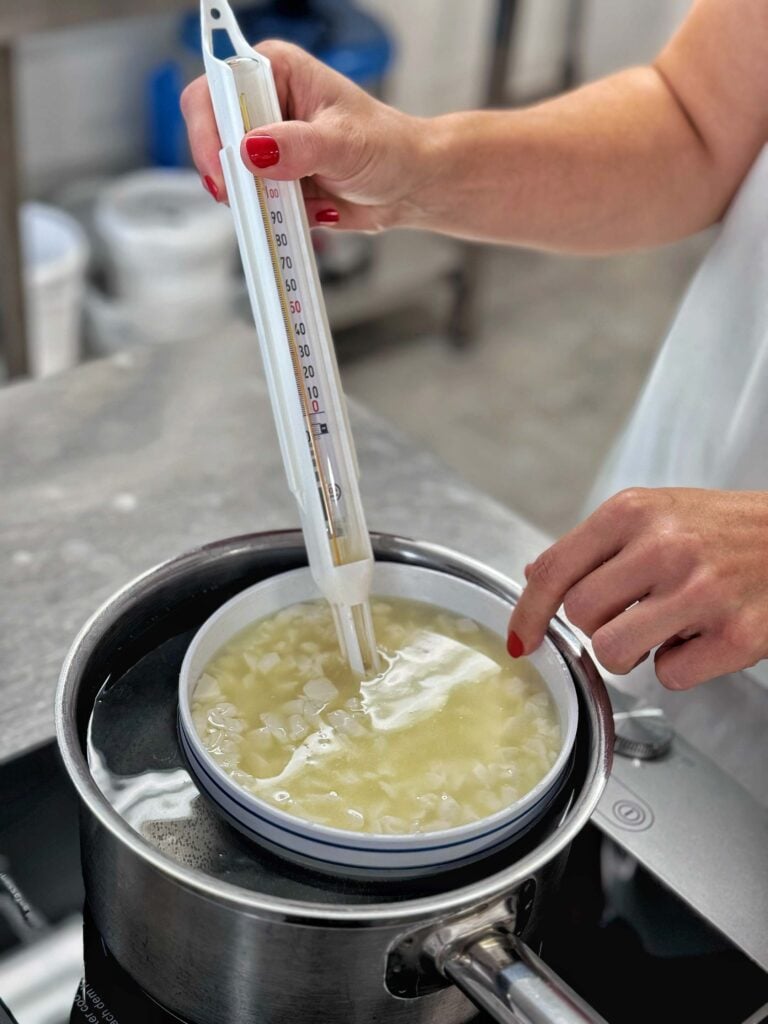 One person holds a thermometer in one hand and stirs a bowl of liquid with the other, which is placed in a pan of hot water on a stove.