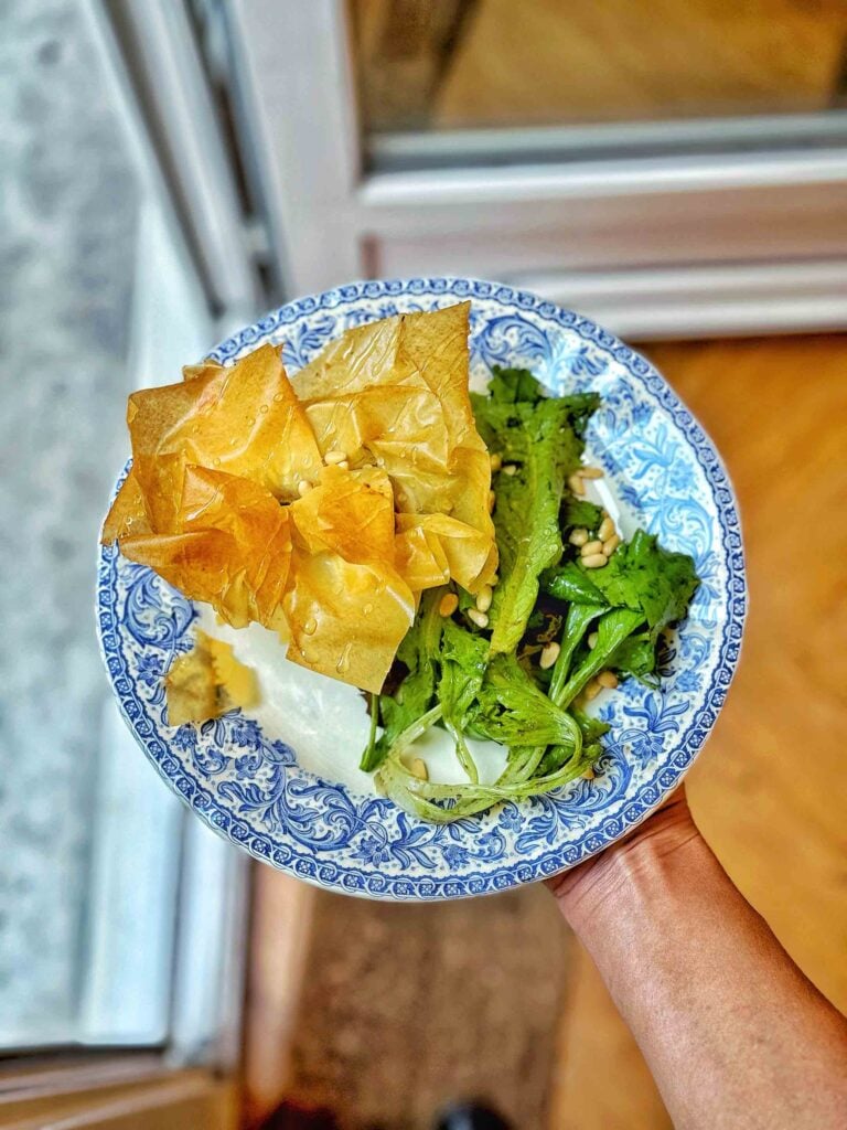 One hand holds a blue and white plate with a portion of green salad and a portion of golden filo pastry, near a glass door.