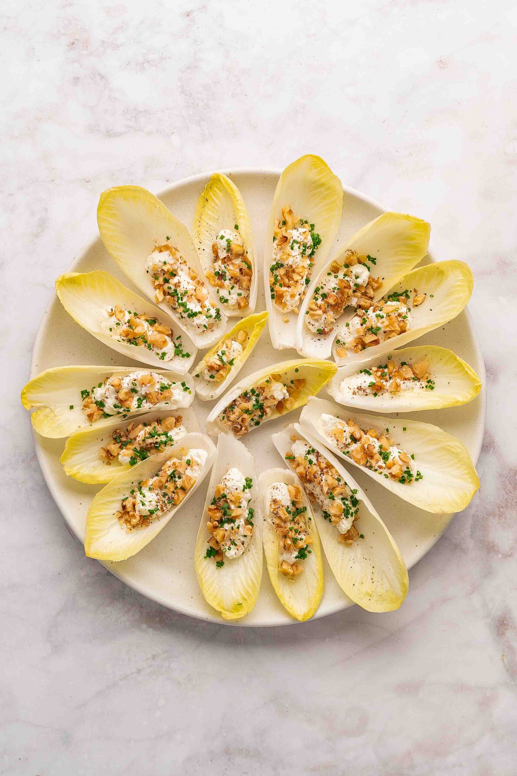 Teller mit Chicoréeblättern, die mit einer Mischung aus Käse, gehackten Walnüssen und Kräutern belegt und kreisförmig auf einer weißen Fläche angeordnet sind.